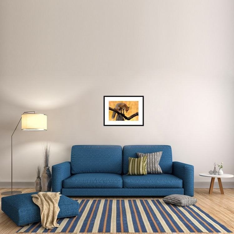 "With Blazing Eyes" Framed Digital Print by Csaba Tokolyi, 30x22"