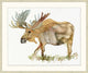 Moose Sighting 1, Giclee Reproduction Artwork