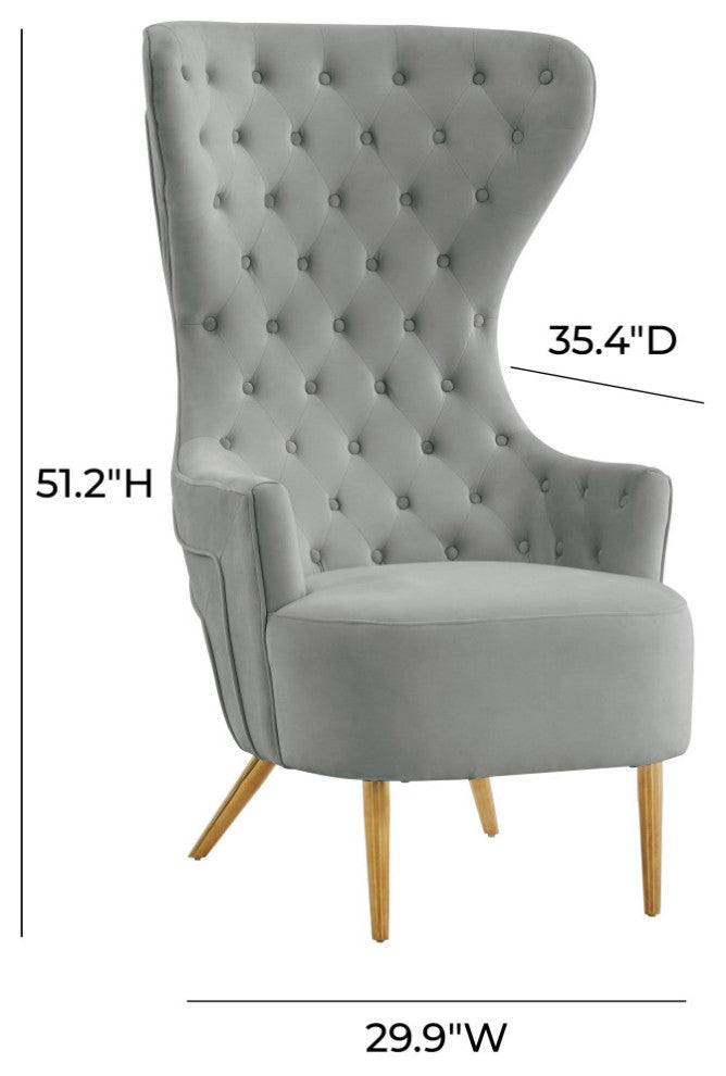 TOV Furniture Jezebel Grey Velvet Wingback Chair