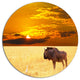 Huge Antelope In Field At Sunset, African Landscape Disc Artwork, 11"