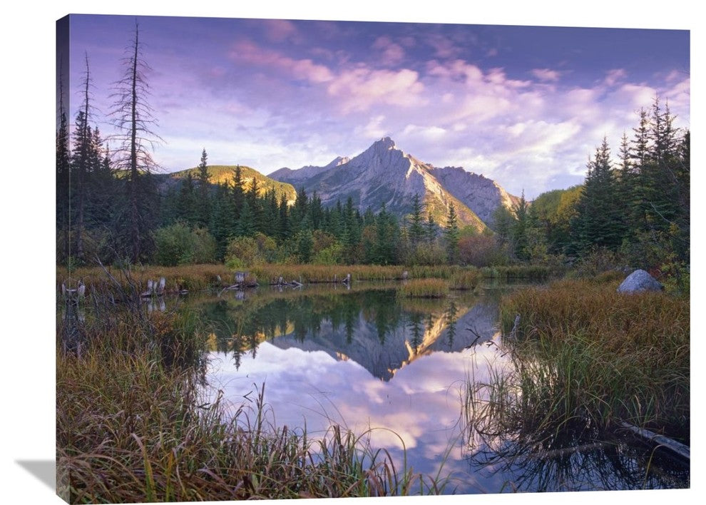 "Mount Lorette And Spruce Trees Reflected In Lake, Alberta, Canada" Artwork