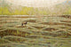 "Savannah" Painting Print on Canvas by Tracy Silva Barbosa