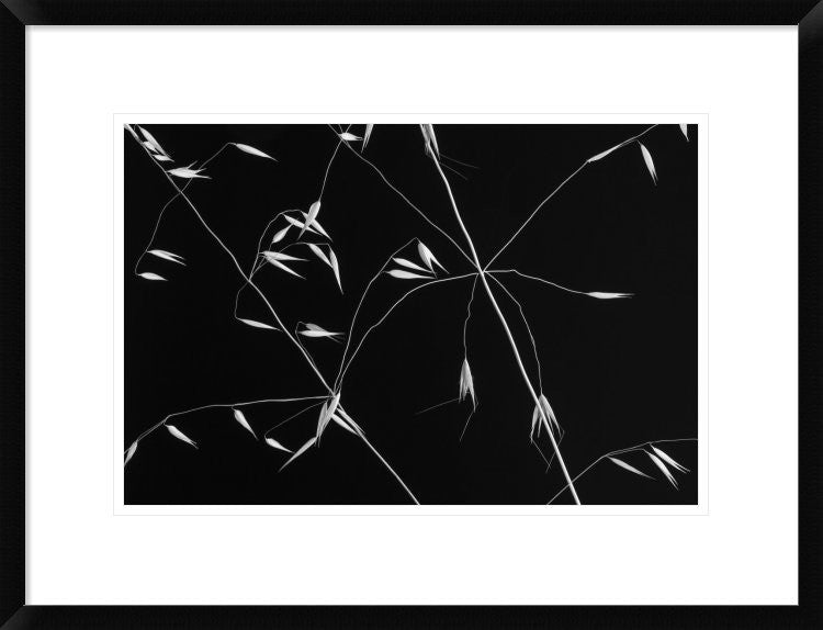 "Crossed Lines" Framed Digital Print by Olavo Azevedo, 26"x20"