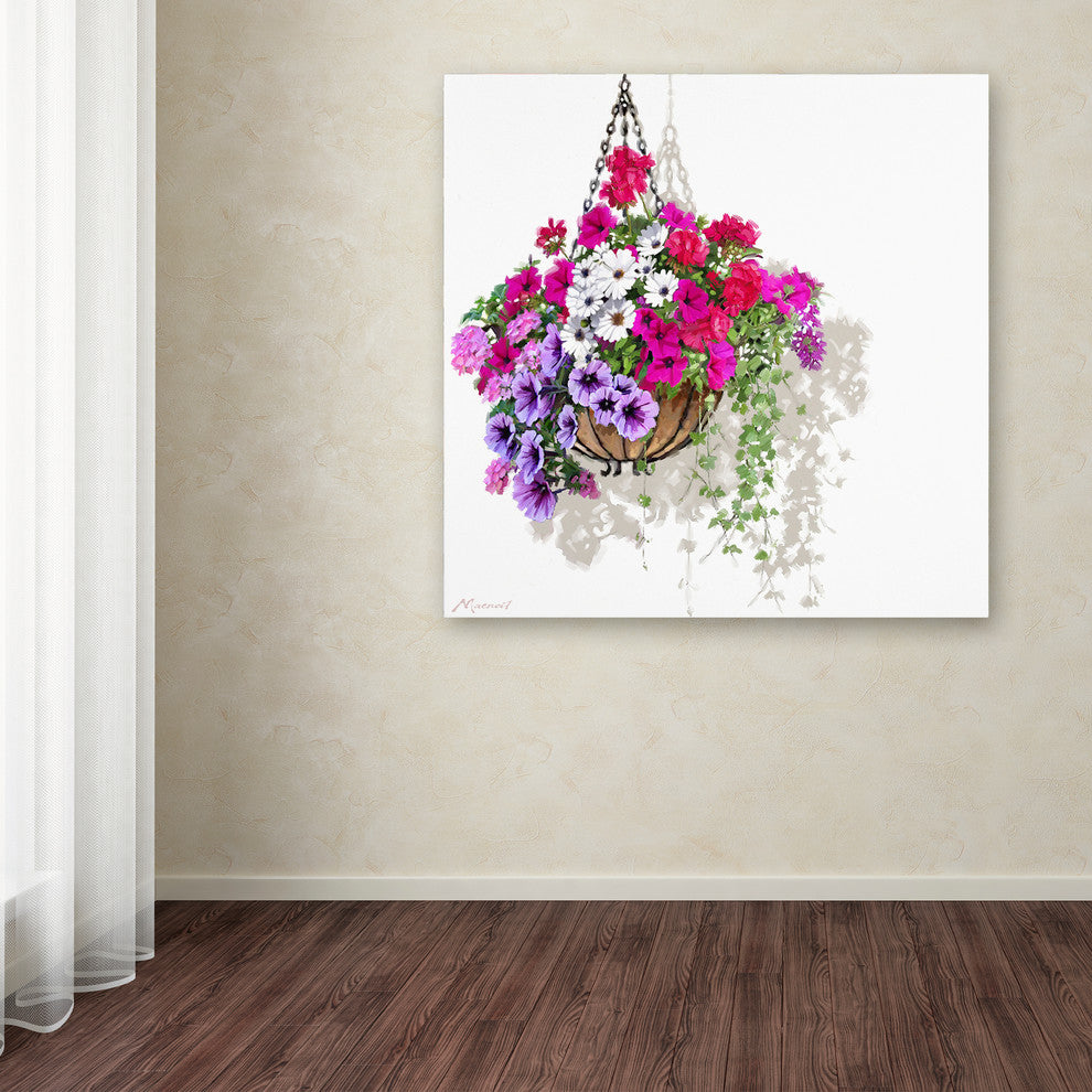 The Macneil Studio 'Hanging Basket' Canvas Art, 24"x24"