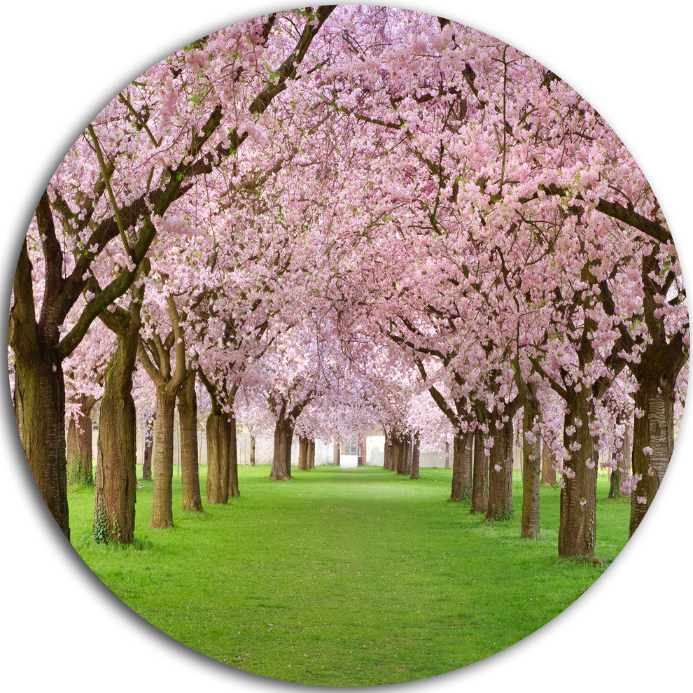 Stunning Cherry Blossoms Plenitude, Landscape Disc Metal Wall Art, 36"
