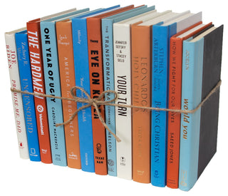Decorative Books - Rustic Book Bundle - 1 foot of Blue Books