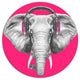 Elephant With Headphones, Animal Art Large Disc Metal Wall Art, 11"