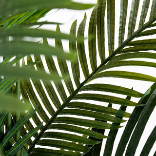 White background close-up of leaf structure (cropped detail).