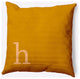 20" x 20" Modern Monogram Indoor/Outdoor Polyester Throw Pillow, Autumn Gold