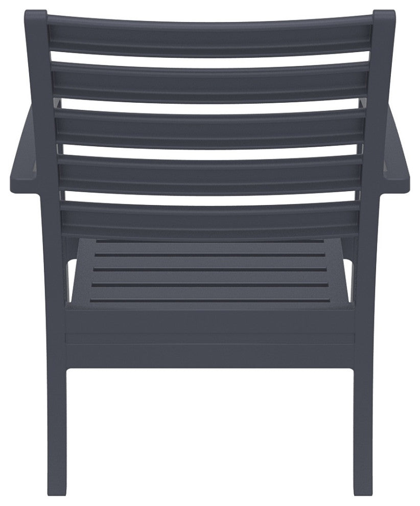 Artemis XL Club Chair, Set of 2, Dark Gray With Acrylic Fabric Natural Cushions