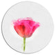Bloomy Pink Tulip On White Drawing, Flower Round Wall Art, 11"