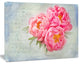 Pink Peony Flowers in White Vase, Floral Canvas Art Print, 20"x12"