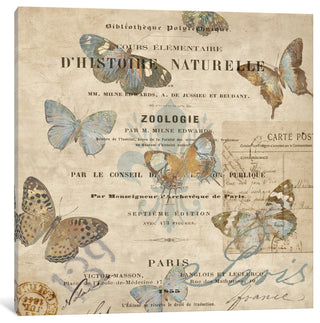 "Papillon II" by Deborah Devellier, Canvas Print, 37"x37"