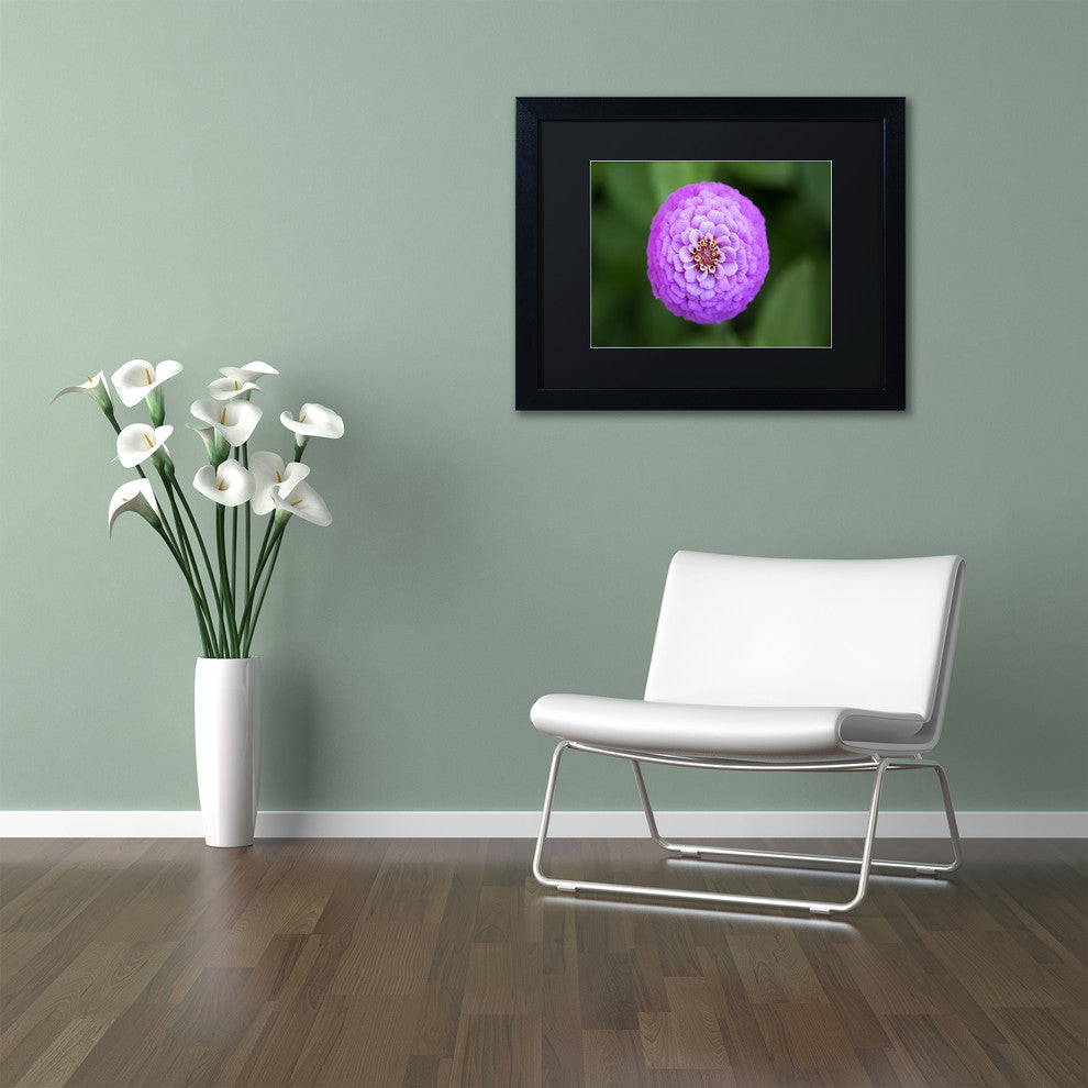 Jason Shaffer 'Purple Flower' Matted Framed Art, Black Frame, Black Mat, 20x16