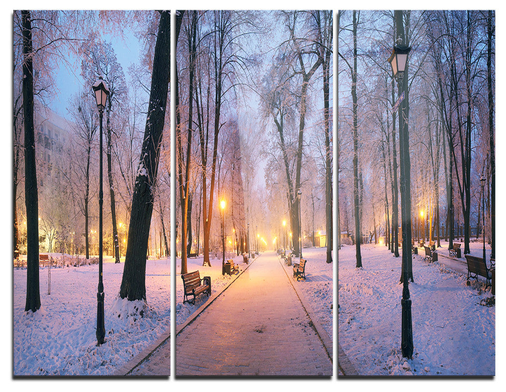 "Mariinsky Garden in Winter" Photo Metal Wall Art, 3 Panels, 36"x28"