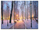 "Mariinsky Garden in Winter" Photo Metal Wall Art, 3 Panels, 36"x28"