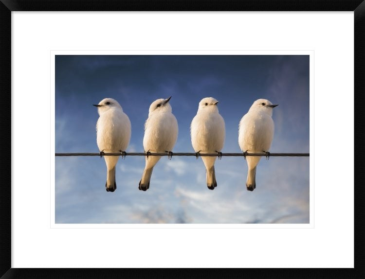 "White Monjita" Framed Digital Print by Chechi Peinado, 26"x20"