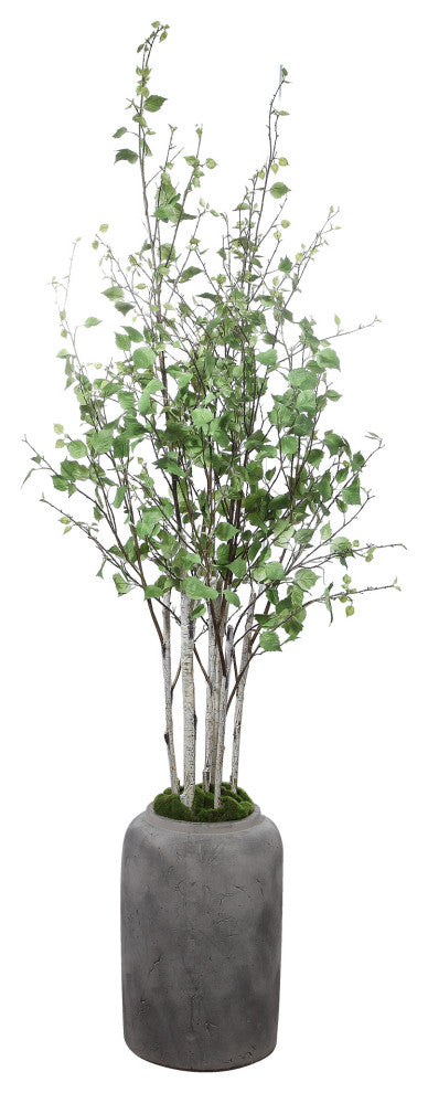 River Birch Tree Branches Potted Concrete Planter Minimalist Floor