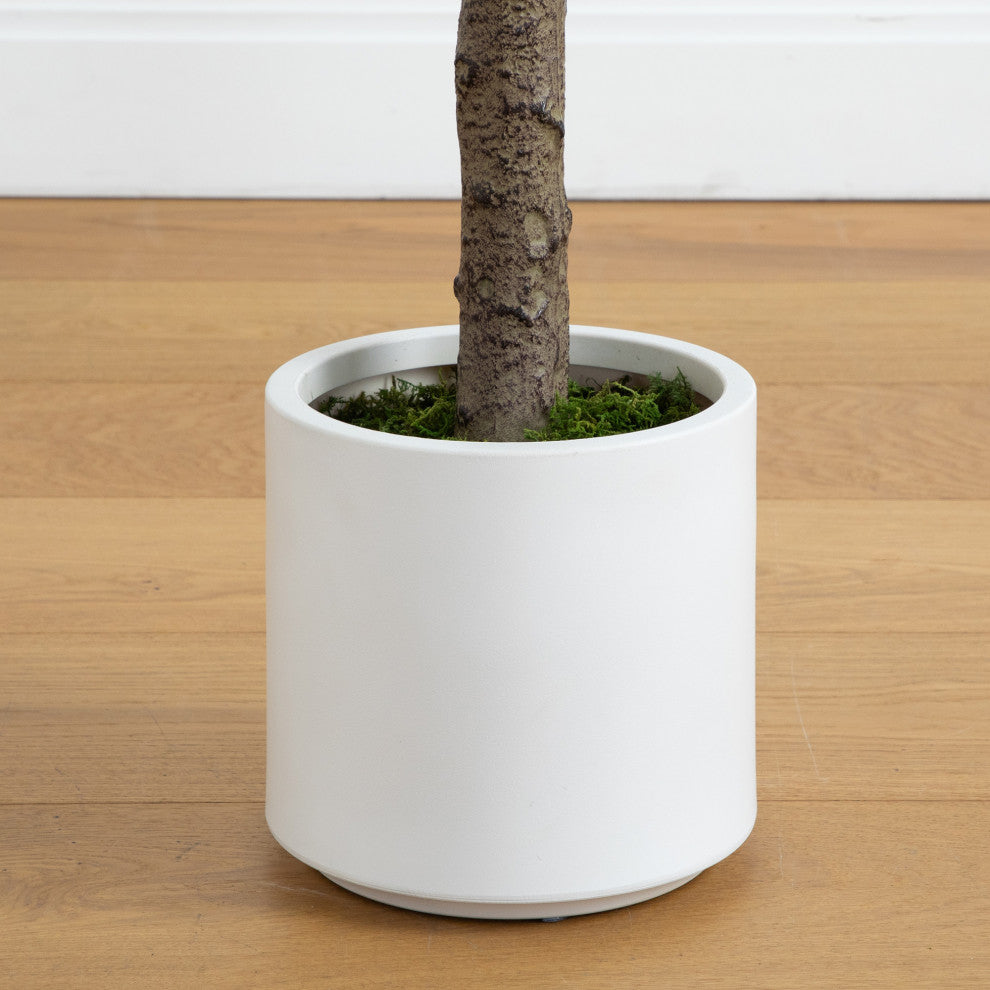 6ft. Artificial Minimalist Jacaranda Tree, White Decorative Planter