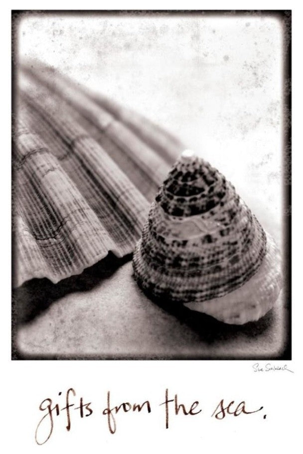 "Gifts from the Sea" Digital Paper Print by Sue Schlabach, 30"x37"