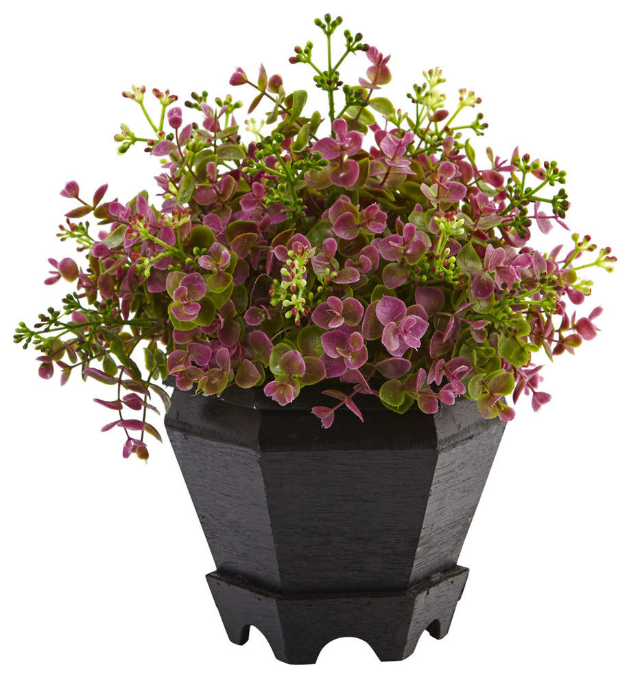 13" Sedum and Eucalyptus Plant With Planter