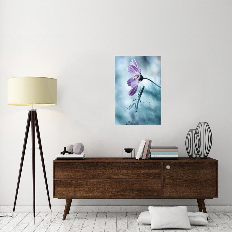"Newtonian Physics" Stretched Canvas Giclee by Fabien Bravin, 24x36"
