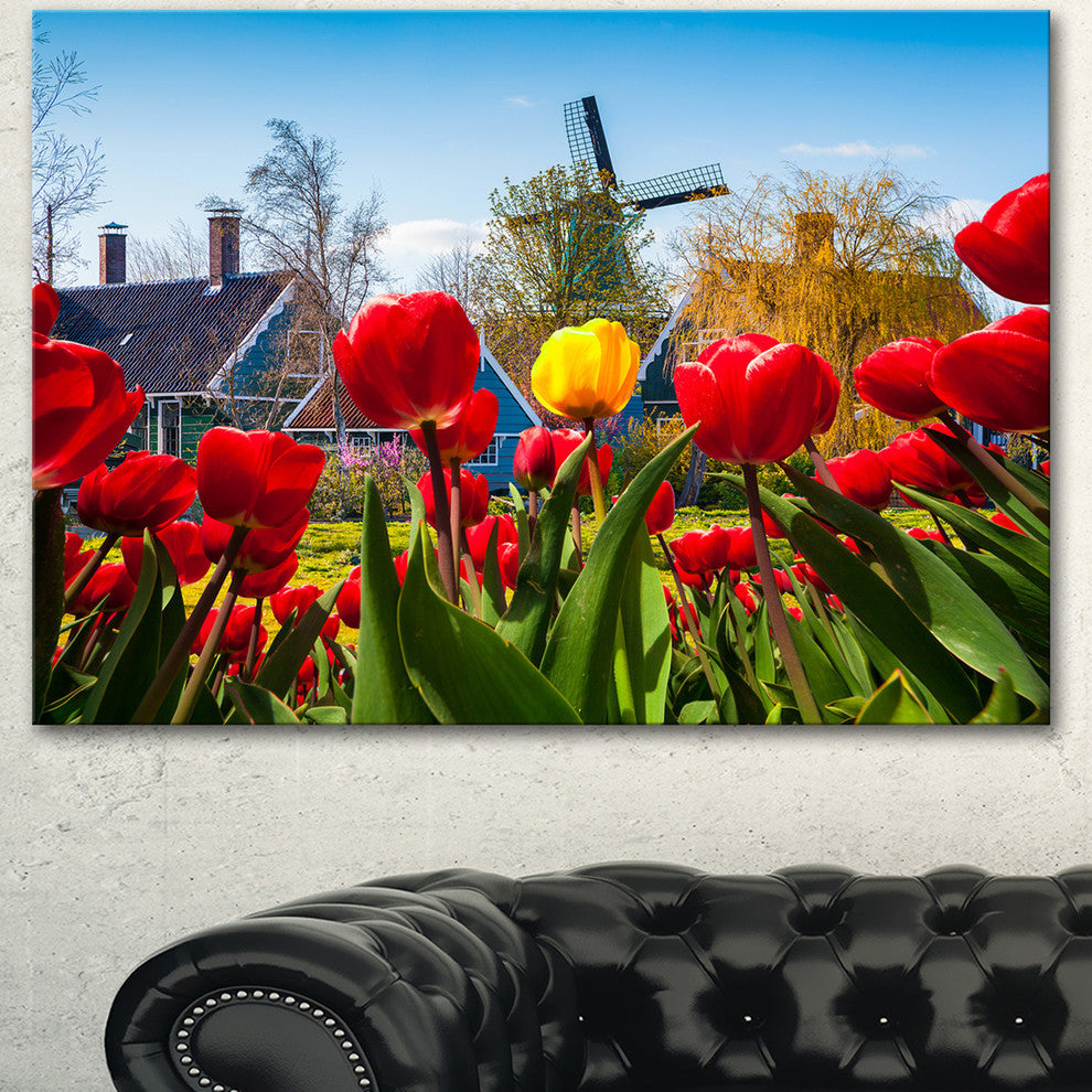 Tulips in the Netherlands Village, Floral Canvas Art Print, 40"x30"
