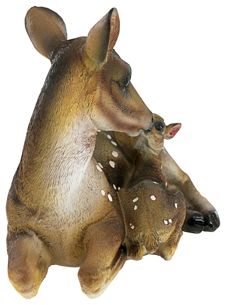 Small Mothers Love Doe And Fawn