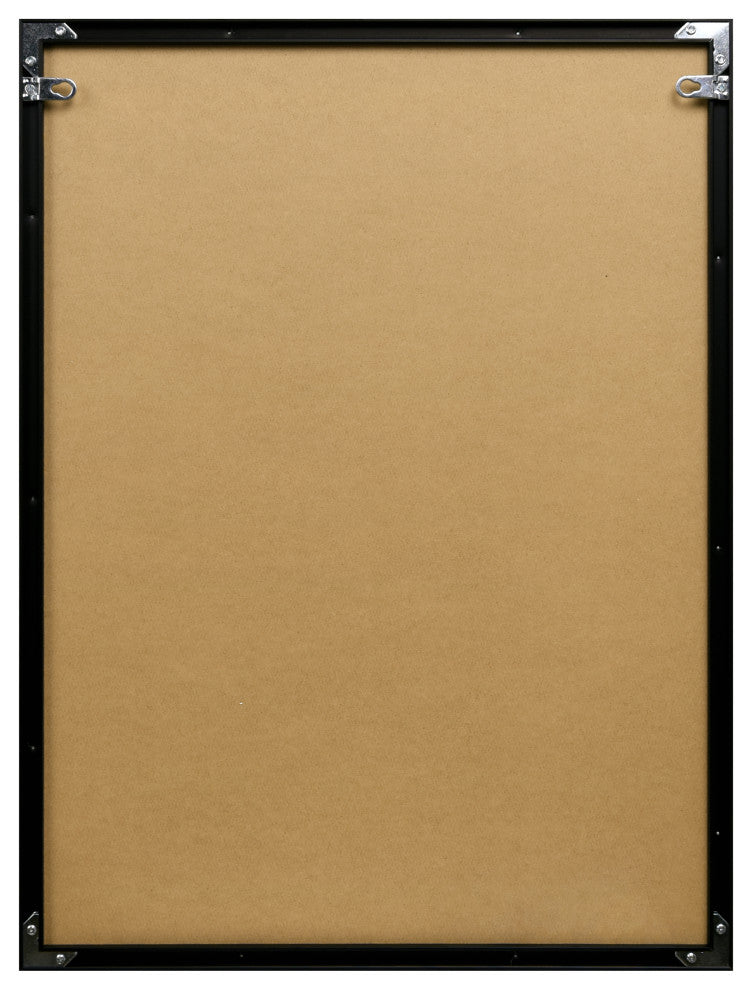 "Weimaraner" Black and White Pet Art on Printed Glass with Anodized Frame