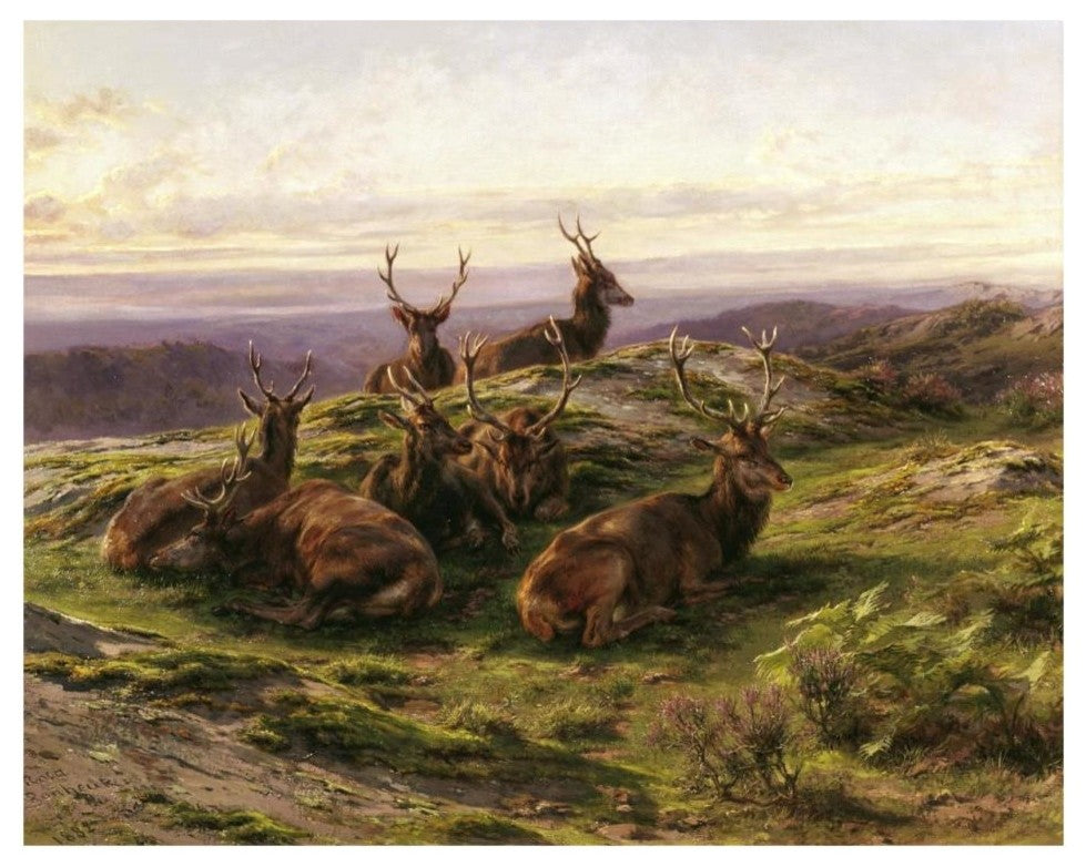 "Stags at Rose" Digital Paper Print by Rosa Bonheur, 32"x26"