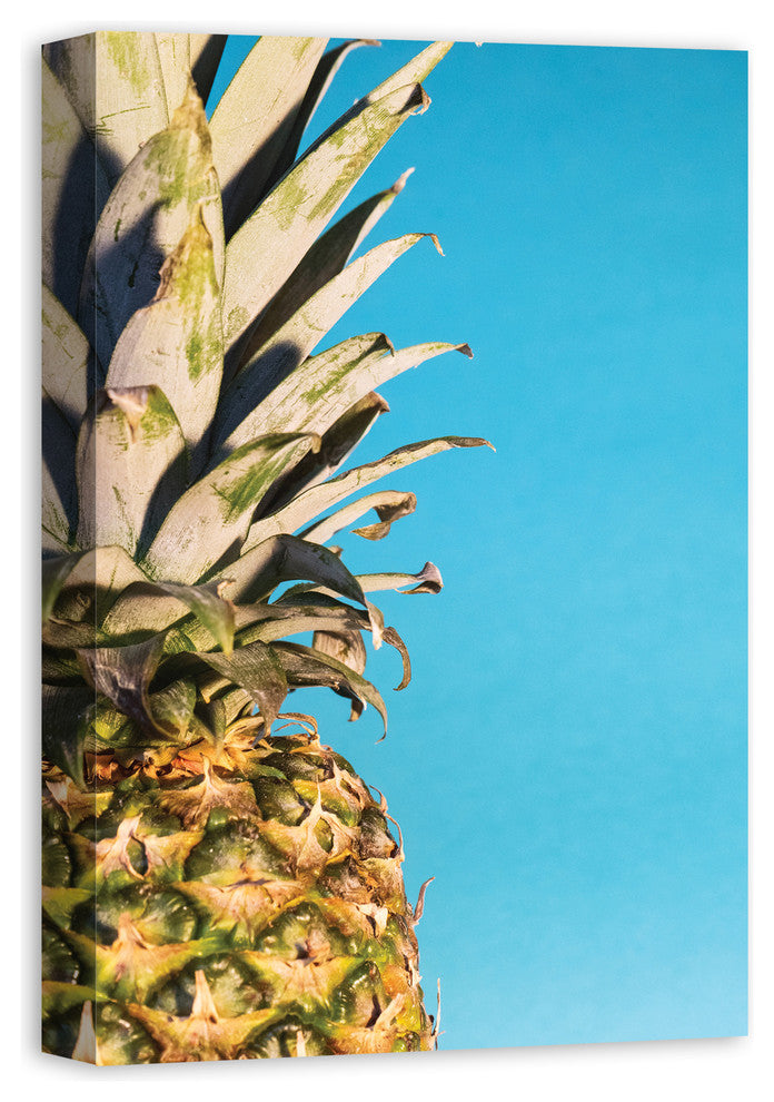 Large Pineapple Blue 16x24 Canvas Wall Art