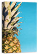 Large Pineapple Blue 16x24 Canvas Wall Art