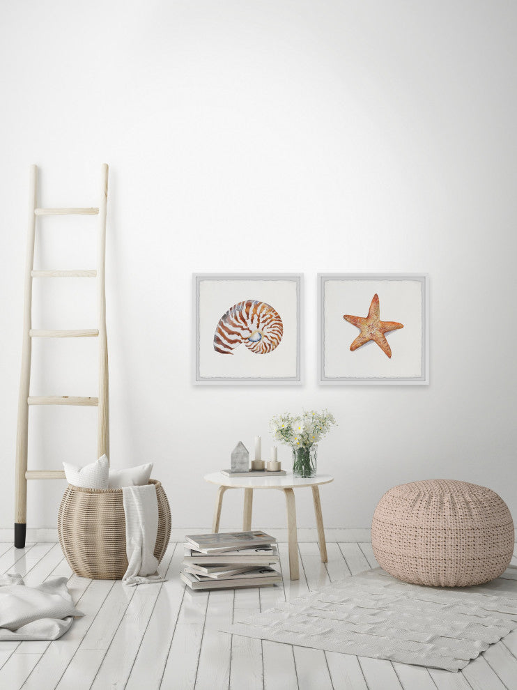 Starry Shell Diptych, 24"x12"