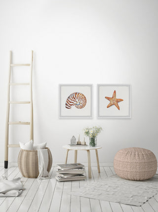 Starry Shell Diptych, 24"x12"