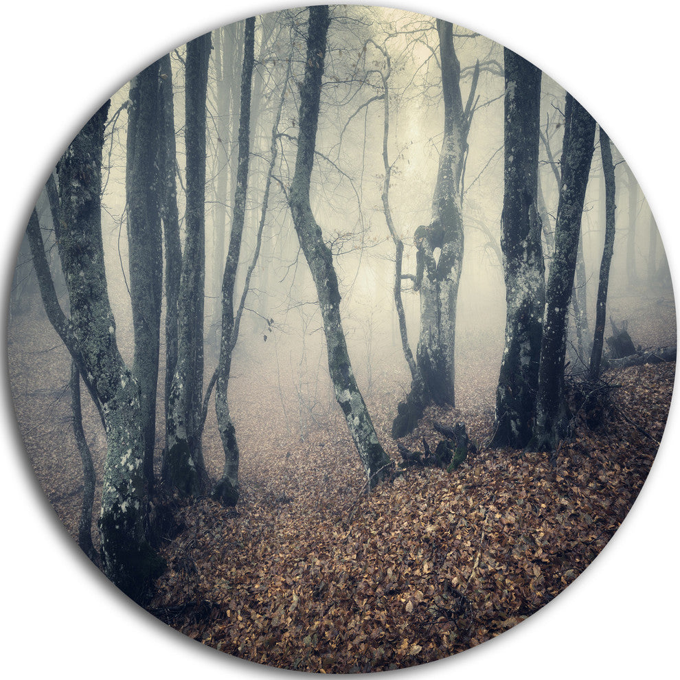 Mystical Yellow Fog In Fall Forest, Landscape Disc Metal Wall Art, 11"