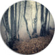 Mystical Yellow Fog In Fall Forest, Landscape Disc Metal Wall Art, 11"