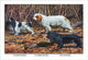 Cocker Spaniel, Clumber Spaniel and Field Spaniel - Fine Art Giclee Print