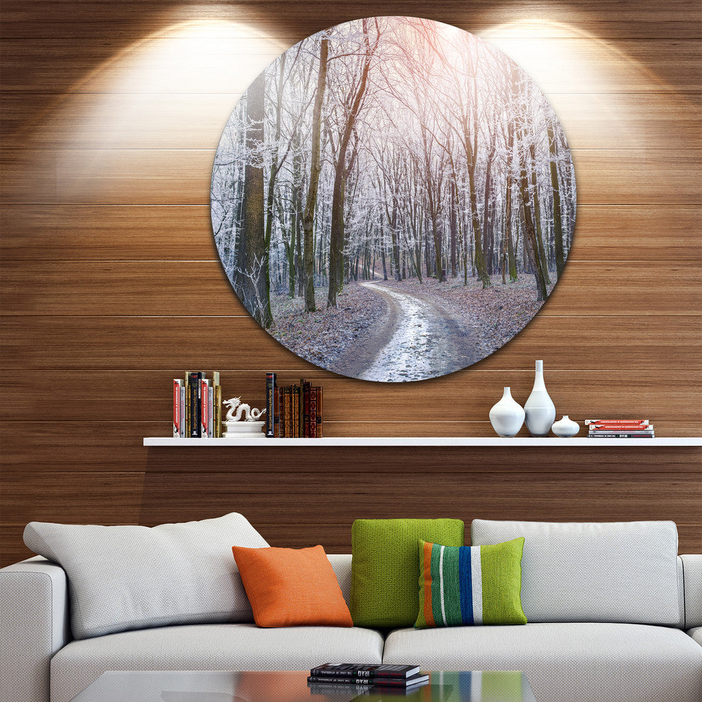 Misty Trail In Autumn Forest, Landscape Photo Round Metal Wall Art, 11"