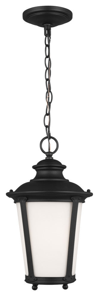 Cape May 1-Light Outdoor Pendant, Black
