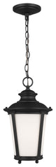 Cape May 1-Light Outdoor Pendant, Black