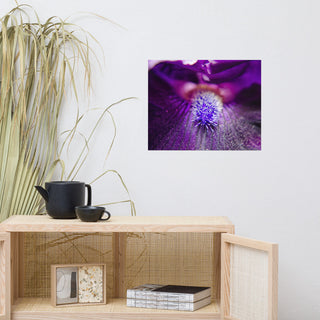 Eye of Iris Nature Photography, Floral Unframed Wall Art Print, 16" X 20"