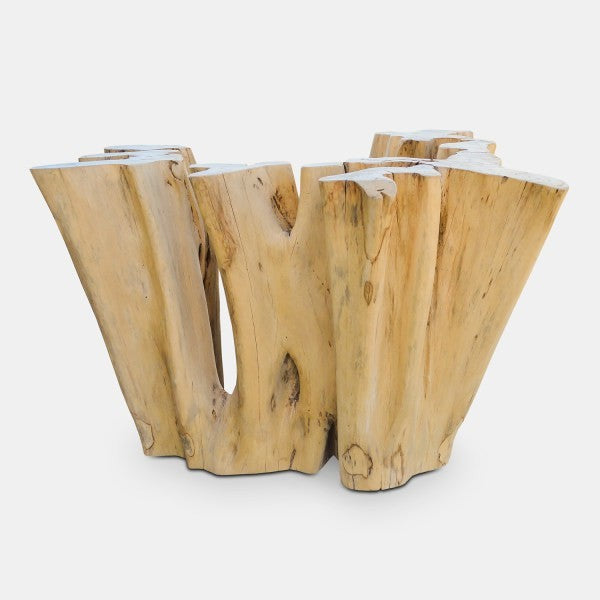 Ficus Wood Coffee Table Base