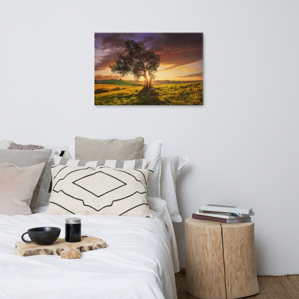 Countryside Olive Tree Sunset Landscape Photo Canvas Wall Art Prints, 24" X 36"