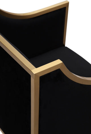 TOV Furniture Atara Black Velvet Gold Chair
