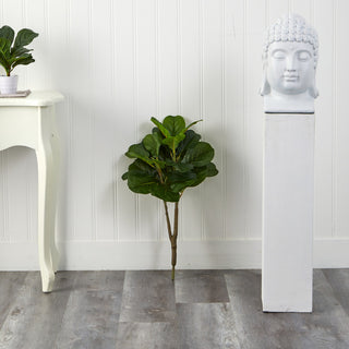 Lifestyle environment: product shown in a real room/scene with decor; full plant visible; no white background.