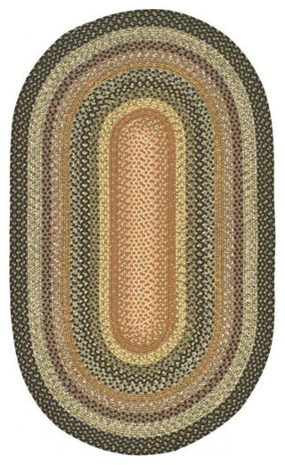Safavieh Braided BRD308 Rug Machine-Washable, Multi, 6'x8' Oval