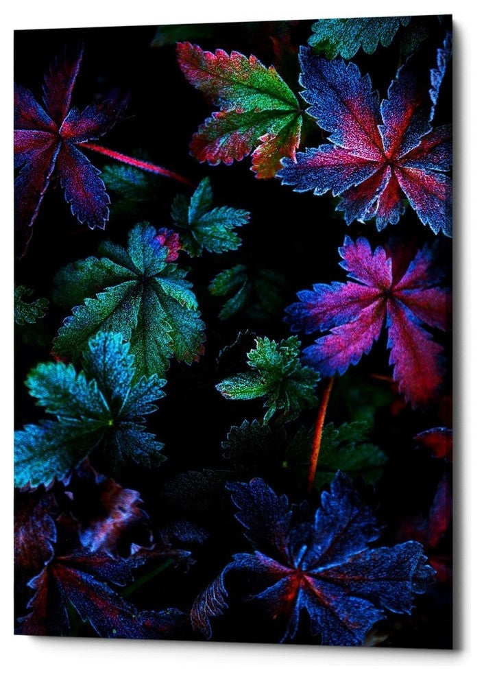 Epic Graffiti "Frosty Fall" by Darren White, Giclee Canvas Wall Art, 18"x26"