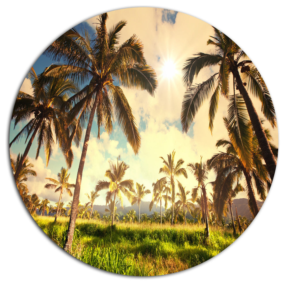 Beautiful Palm Plantation In Hawaii, African Disc Metal Artwork, 23"