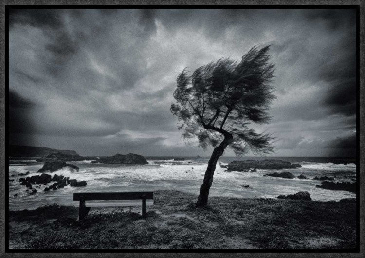 "Today No One" Framed Canvas Giclee by Mikel Lastra, 17x12"