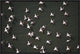 Lesser Flamingo Flock Taking Flight From The Surface Of A Lake, Kenya, 24"x16"